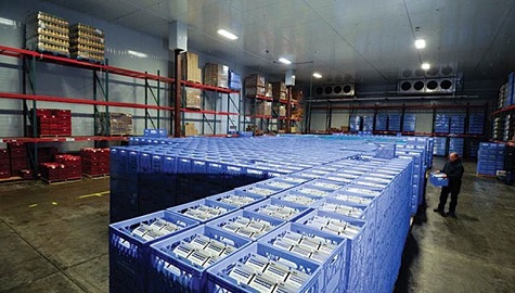 Warehouse Refrigeration